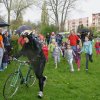Biegi Uliczne 2016