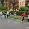 Biegi Uliczne 2016