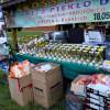 Cross maraton 2019