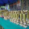 XV Cross Maraton