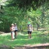 Konecki Maraton Pieszy 2016