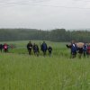 II Rajd po Koronę