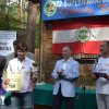 Konecka Setka 2014